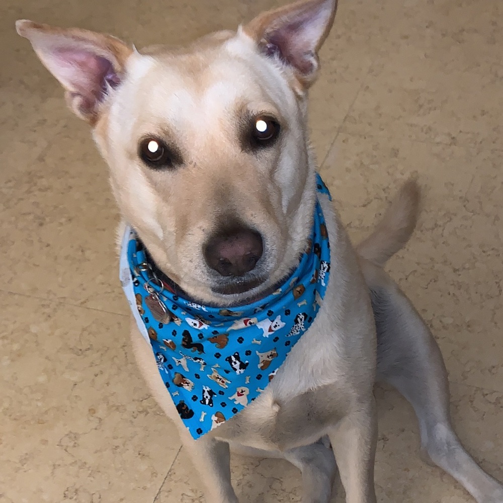 Meet your Posher, Jonathan